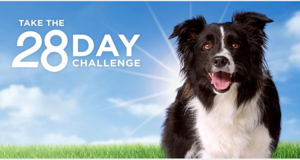 Purina's 28-Day Challenge